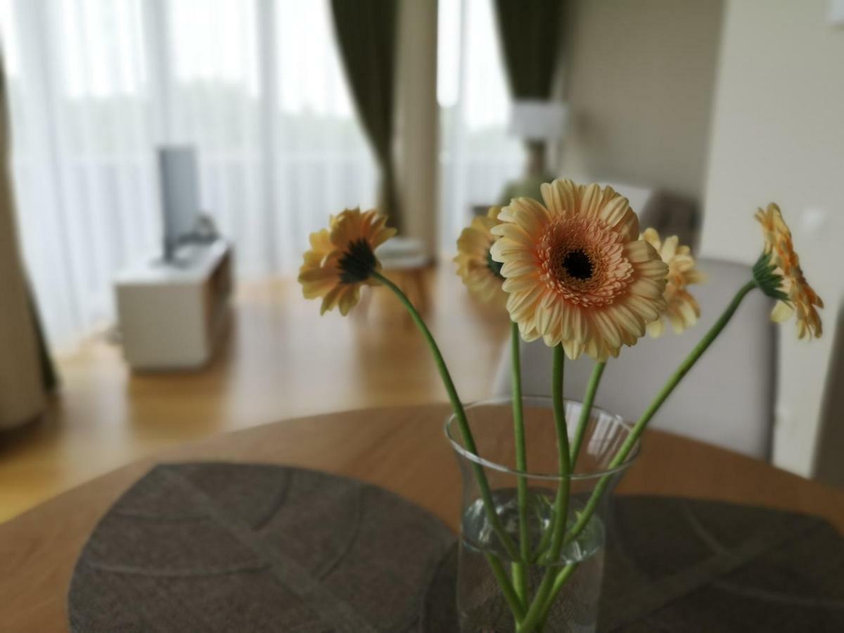 Luxury Apartments 드루스키닝카이 외부 사진